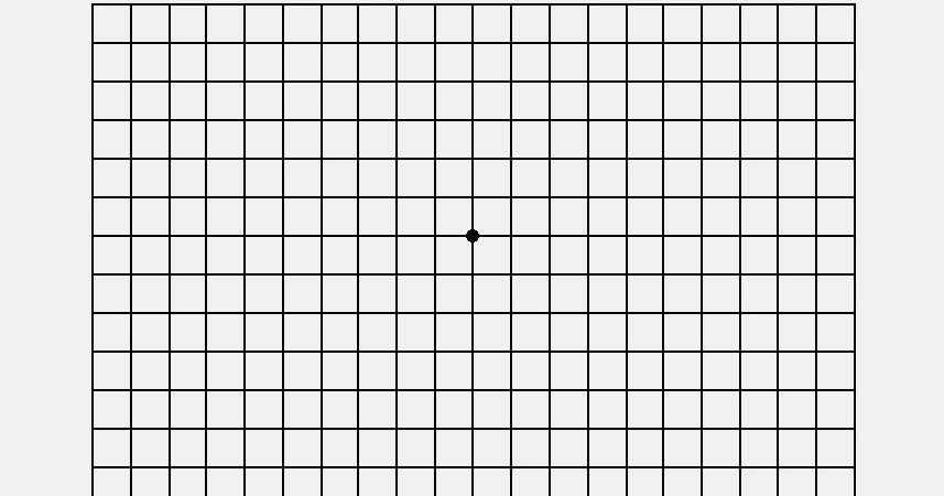 Amsler Gitter Test - Praxis Hancke