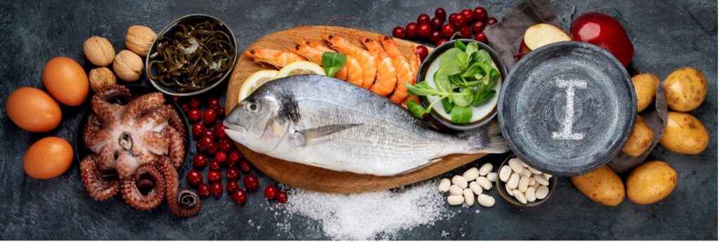 Lebensmittel mit viel Jod: Fisch, Meeresfrüchte, Milch und Eier zur Unterstützung der Schilddrüse